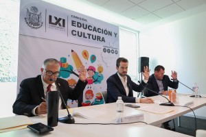 Comisión de Educación 6