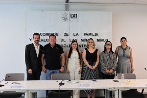 Comisión de la Familia