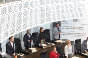 Diputada Adriana Meza 1
