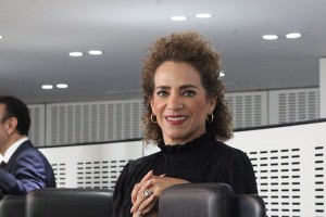 Diputada Adriana Meza 2