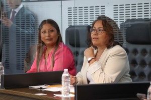 DIP. ROSALBA VÁZQUEZ 2