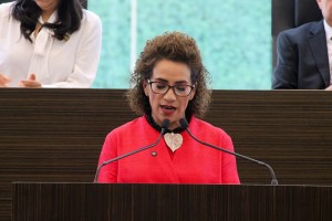 Diputada Adriana Meza 2