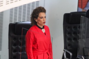 Diputada Adriana Meza 3