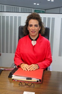 Diputada Adriana Meza 4