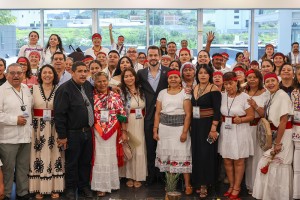 Medicina tradicional 1