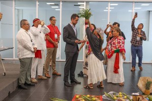 Medicina tradicional 3