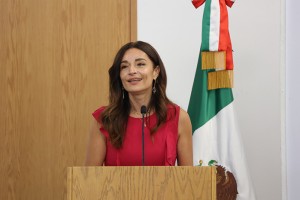 Informe de la diputada Tere Calzada 5