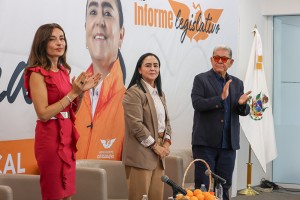 Informe de la diputada Tere Calzada 6
