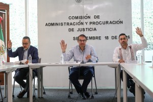 Administración y Procuración de Justicia 3