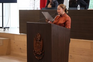 Diputada Alejandrina Verónica Galicia Castañón