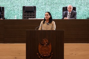 Diputada Teresita Calzada Rovirosa