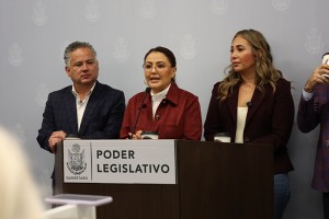 Grupo Legislativo de Morena 3