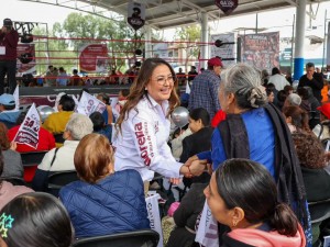 Informe diptuada Claudia Gayou 1