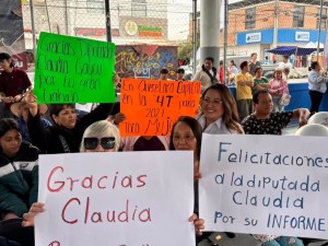 Informe diptuada Claudia Gayou 3
