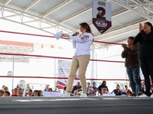 Informe diptuada Claudia Gayou 6