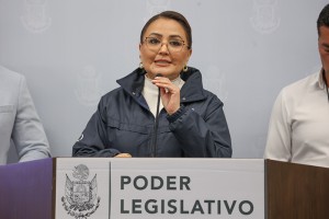 Iniciativas fiscales 1