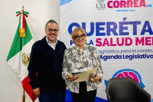 Ley de Salud Mental 4