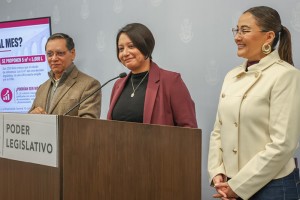 Propuestas de Iniciativas 6